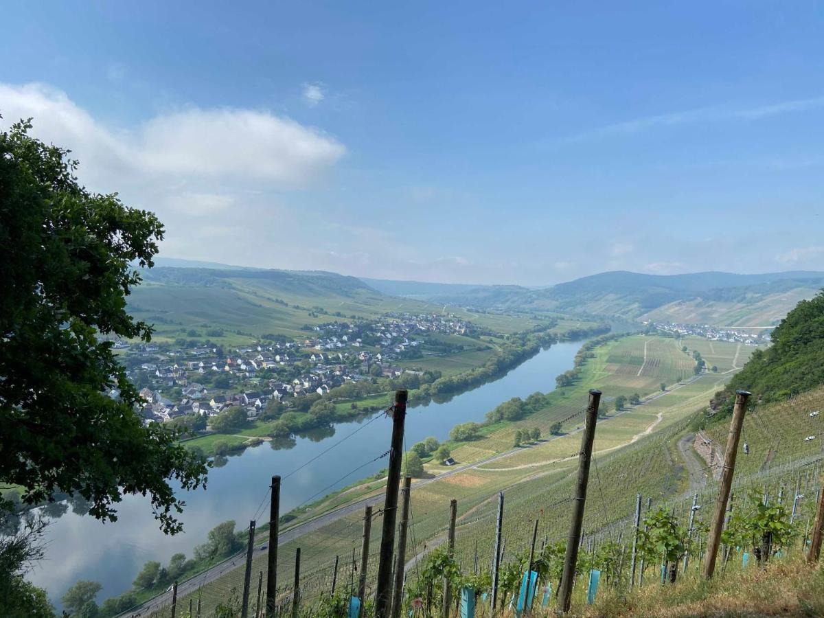 Appartamento Neu!!! Moselbleibe Winzerhaus Kues Bernkastel-Kues Esterno foto