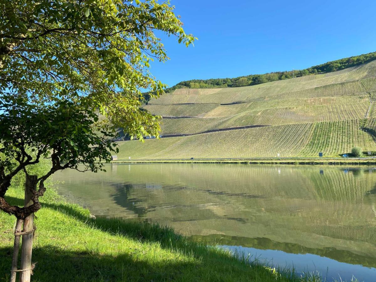Appartamento Neu!!! Moselbleibe Winzerhaus Kues Bernkastel-Kues Esterno foto